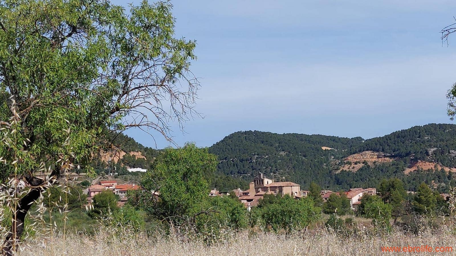1 Zimmer Finca/Landgut zu verkaufen in Rafales - 59.000 € (Ref: 9900705)