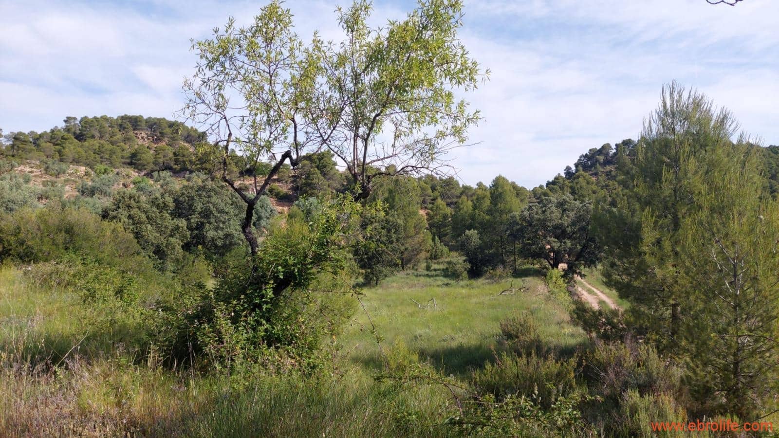 1 Zimmer Finca/Landgut zu verkaufen in Rafales - 59.000 € (Ref: 9900705)