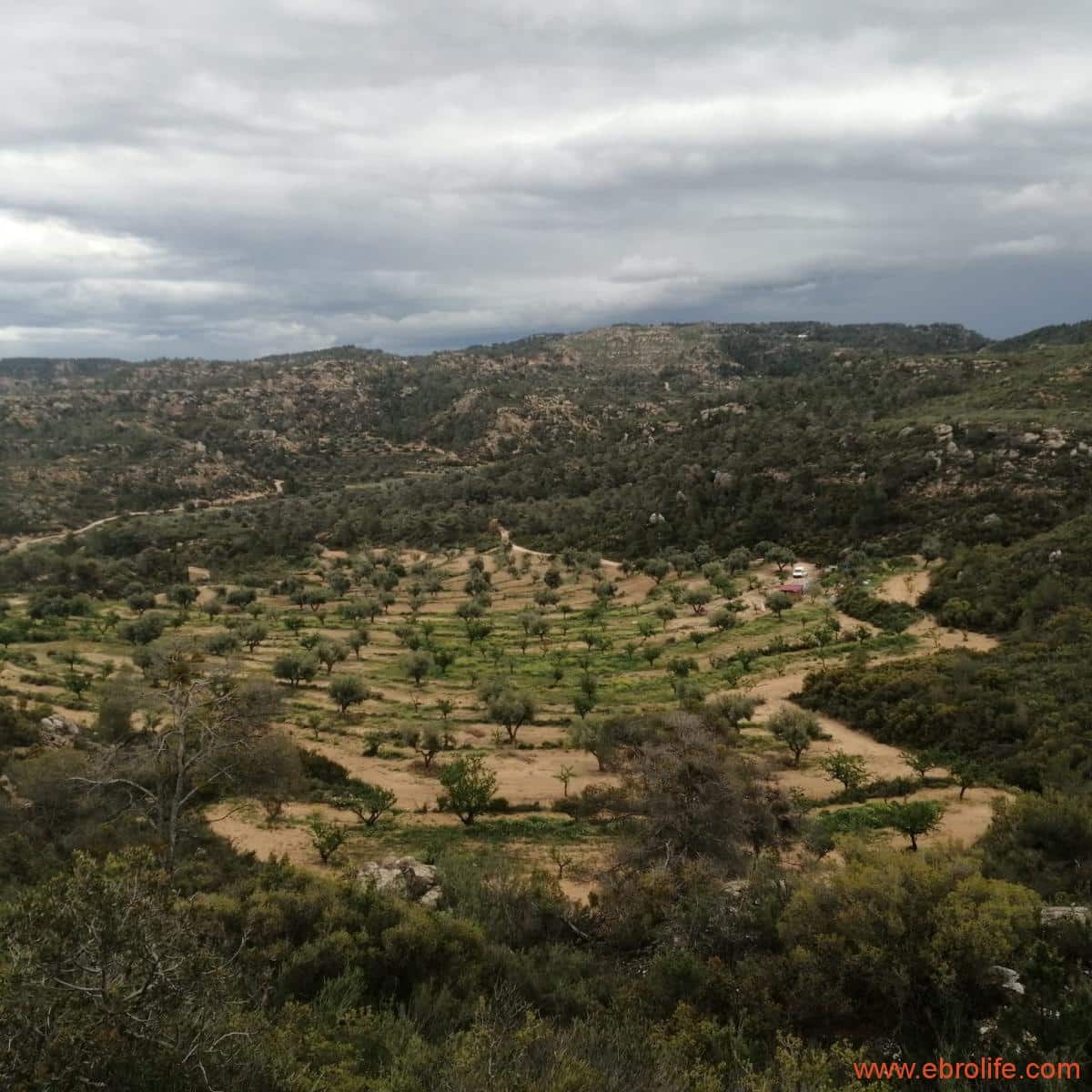1 bedroom Finca/Country House for sale in Maella - € 34,000 (Ref: 9928568)