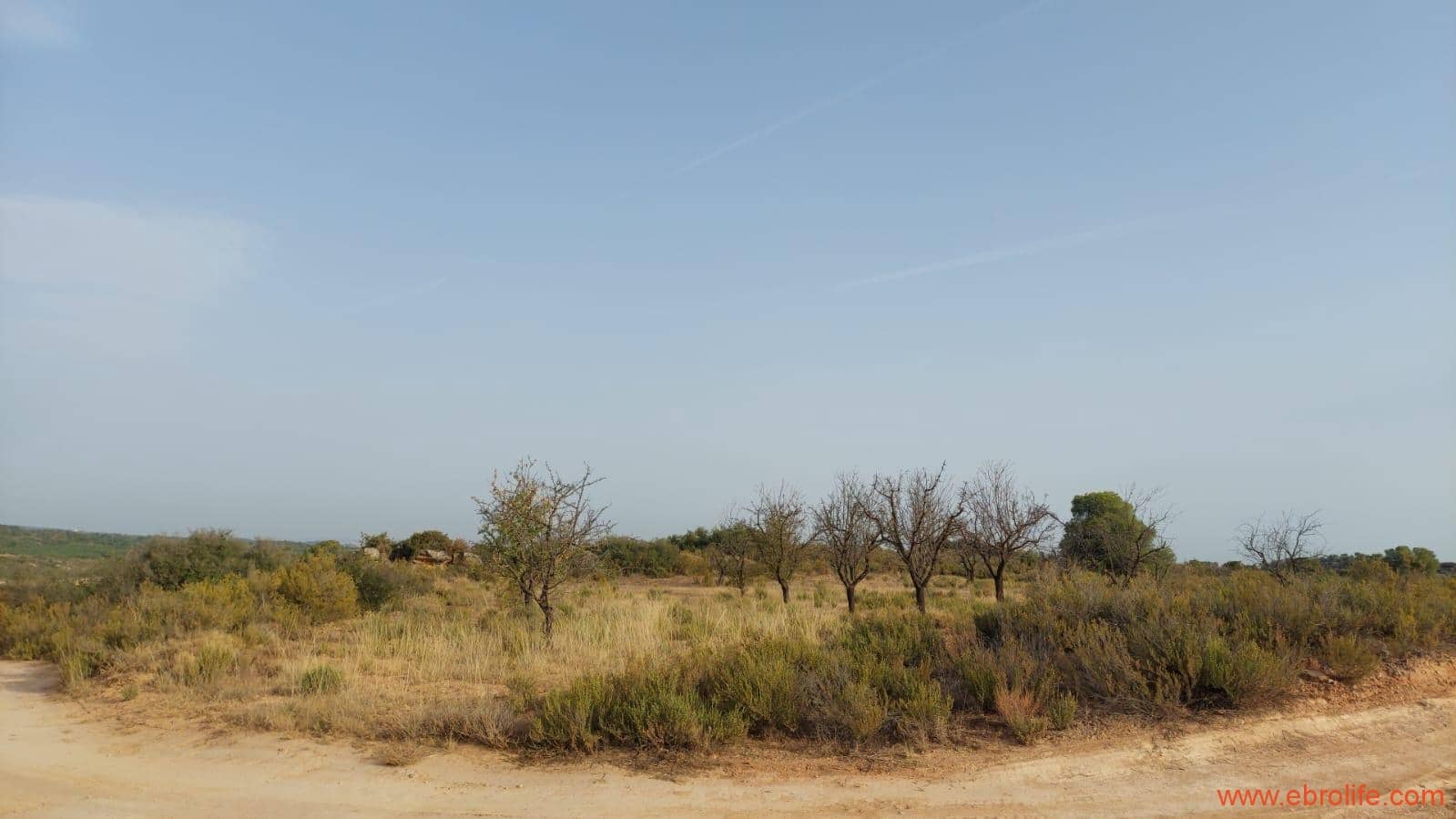 1 soveværelse Finca/Landehus til salg i Fabara - € 24.000 (Ref: 9985920)