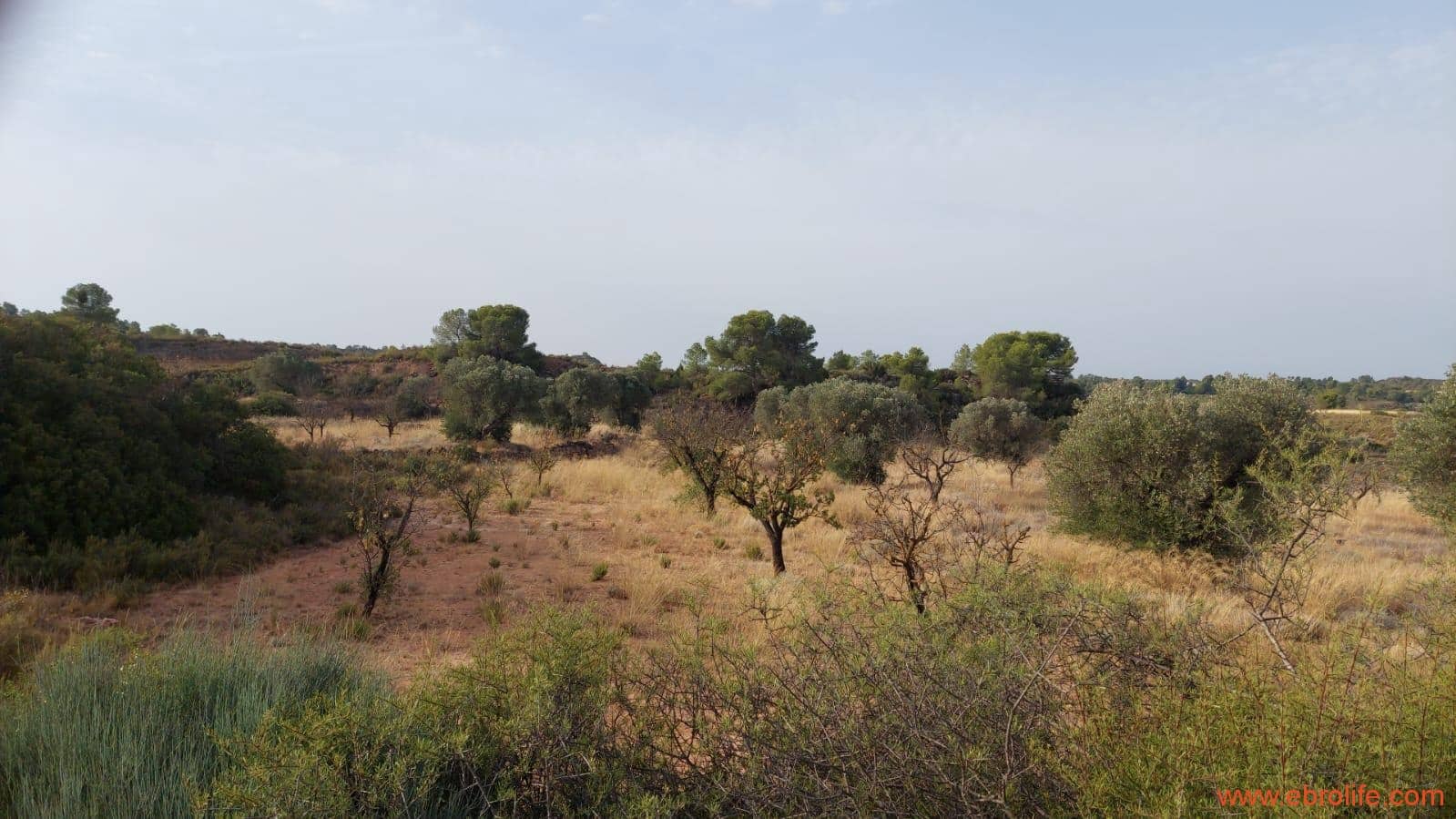 1 soveværelse Finca/Landehus til salg i Fabara - € 24.000 (Ref: 9985920)