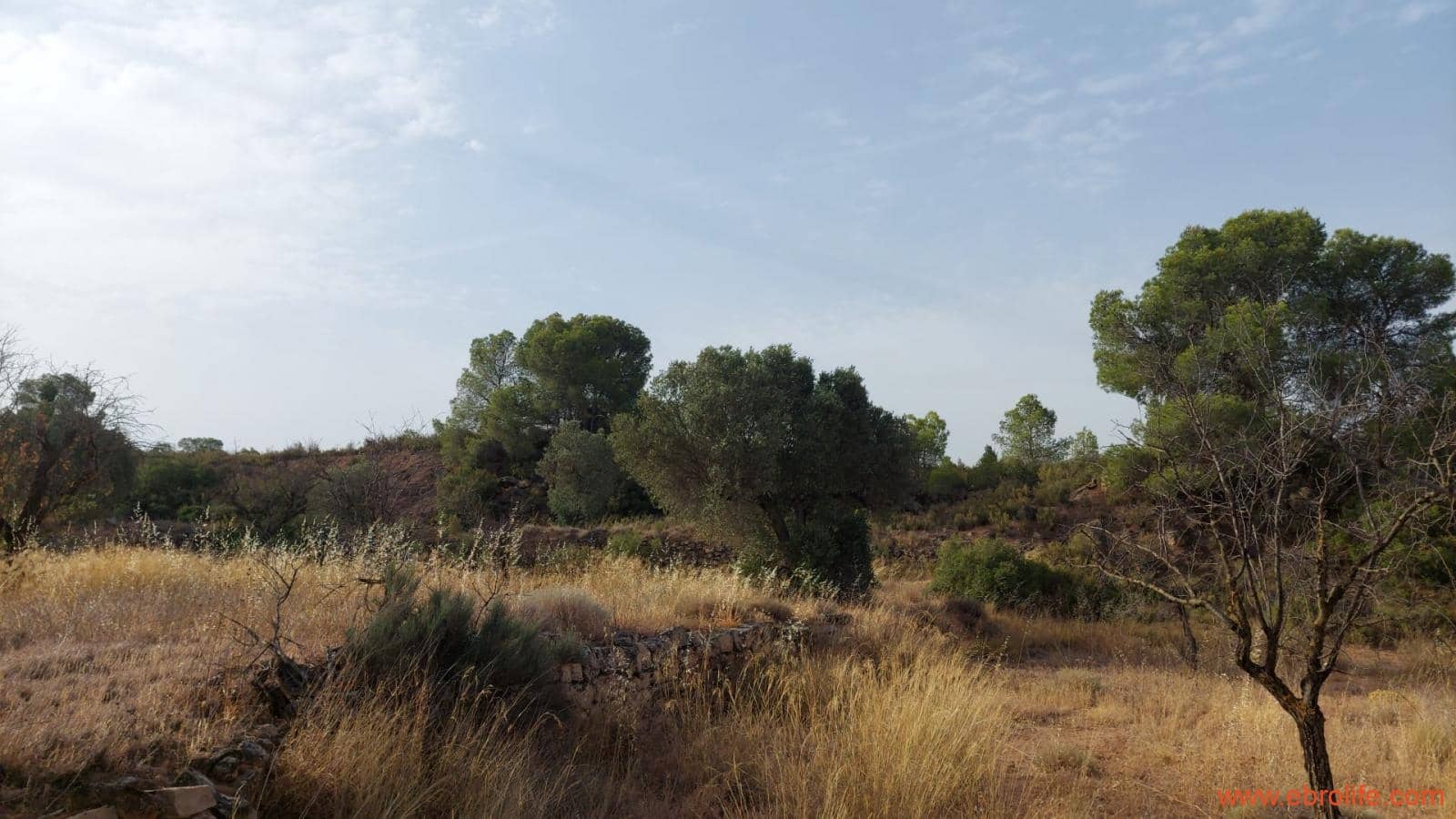 1 soveværelse Finca/Landehus til salg i Fabara - € 24.000 (Ref: 9985920)