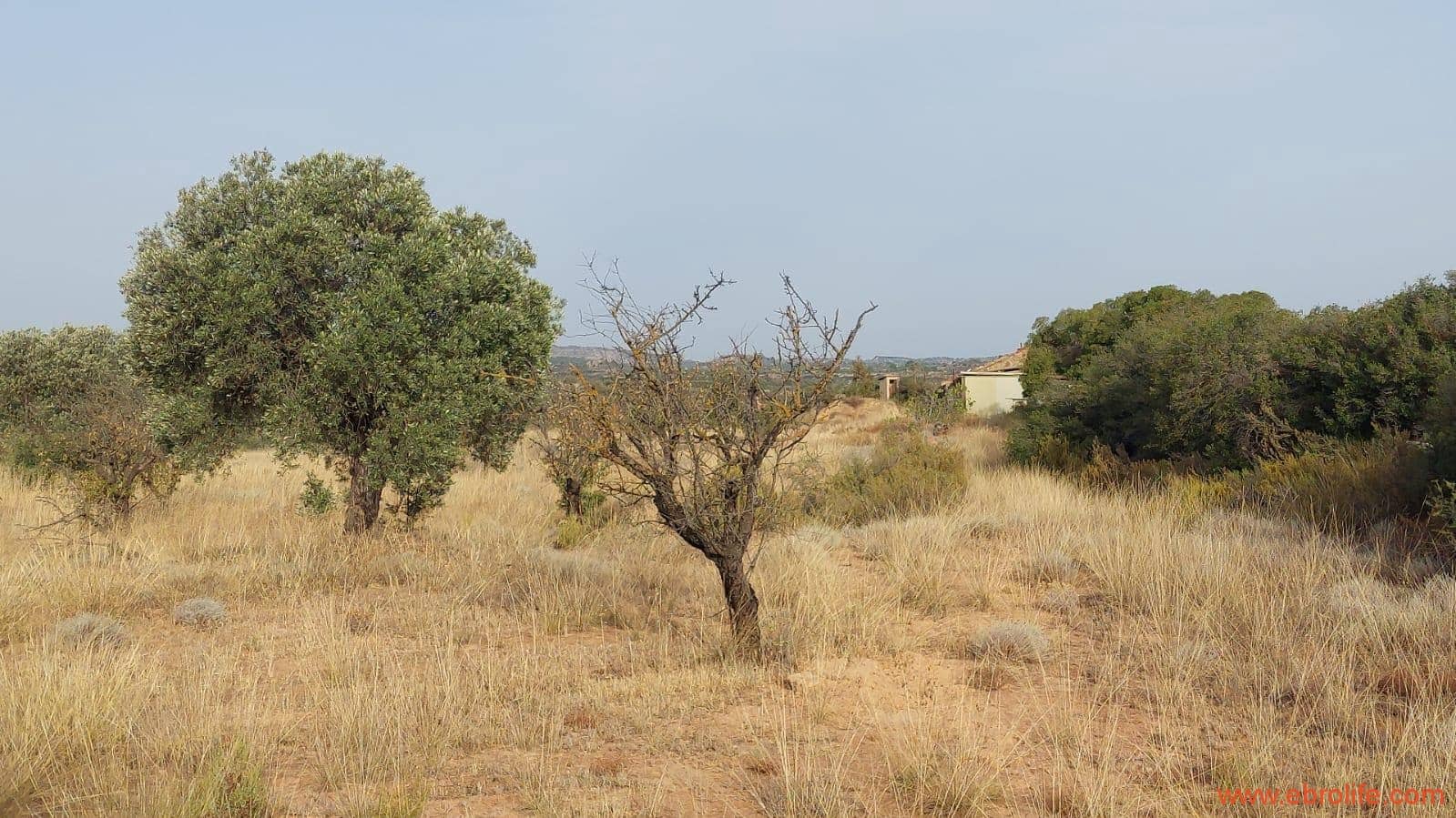 1 soveværelse Finca/Landehus til salg i Fabara - € 24.000 (Ref: 9985920)