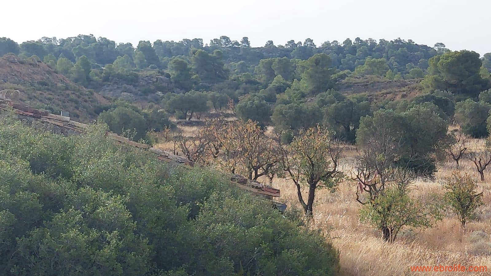 1 soveværelse Finca/Landehus til salg i Fabara - € 24.000 (Ref: 9985920)