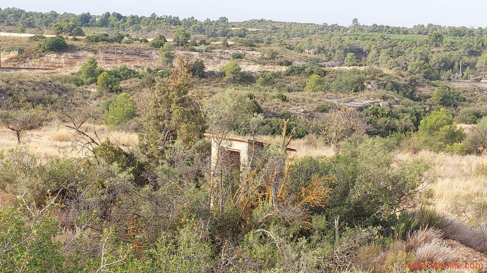 1 soveværelse Finca/Landehus til salg i Fabara - € 24.000 (Ref: 9985920)