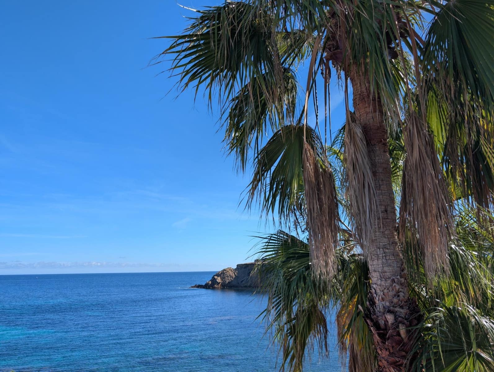 3 slaapkamer Penthouse te huur in Santa Eulalia / Santa Eularia - € 1.800 (Ref: 10184994)
