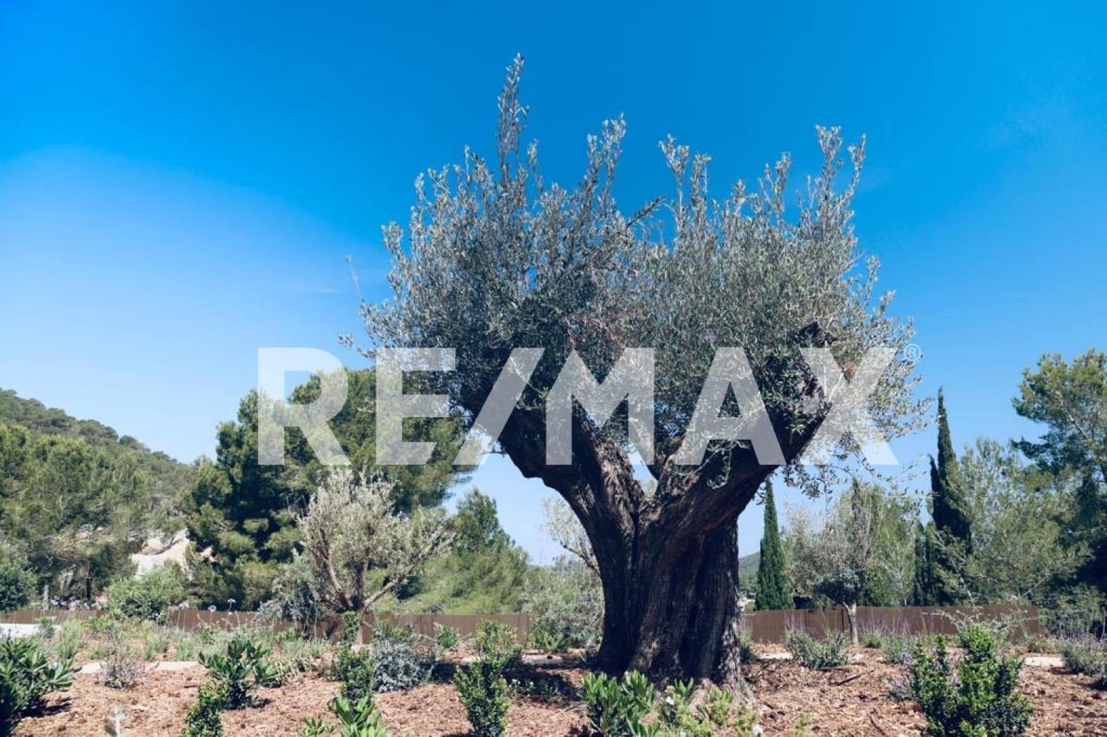 5 soverom Villa til salgs i Roca Llisa med svømmebasseng garasje - € 3 500 000 (Ref: 9170466)