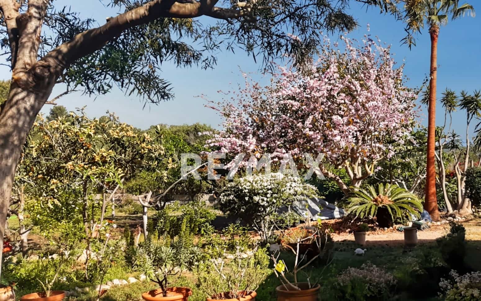 2 bedroom Villa for sale in Santa Eulalia / Santa Eularia - € 700,000 (Ref: 9788779)
