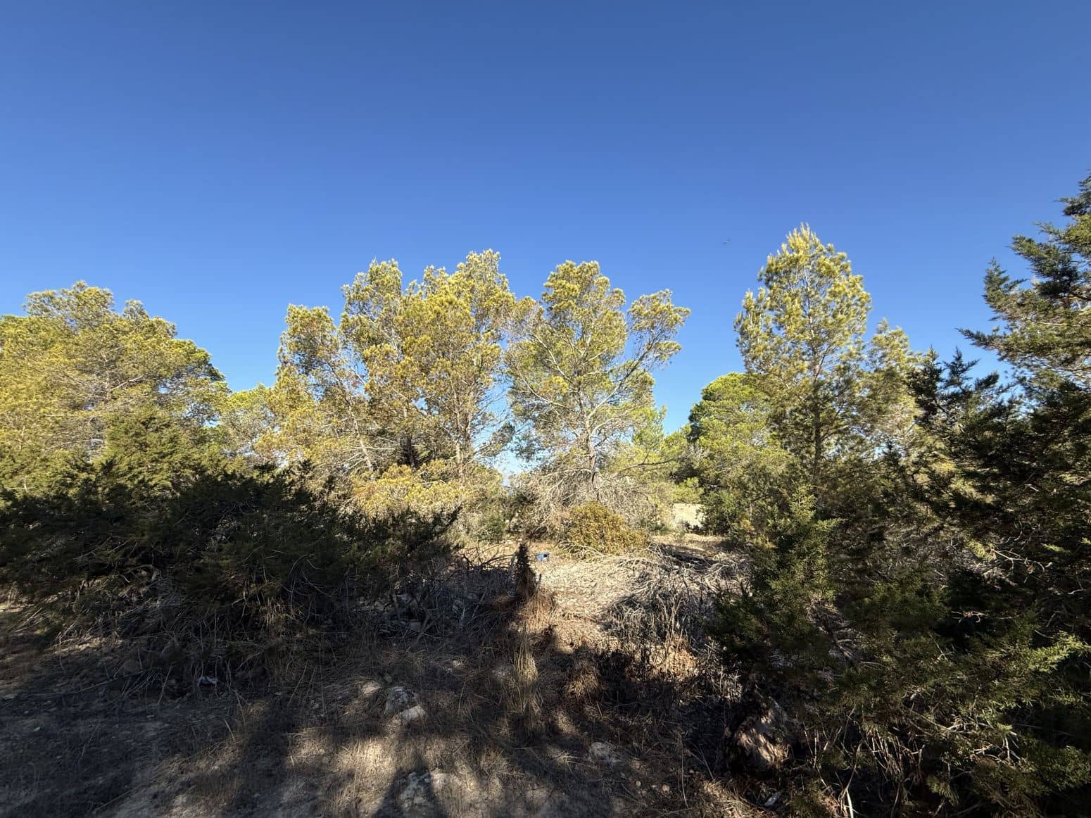 Byggetomt til salgs i San Jose / Sant Josep de Sa Talaia - € 2 400 000 (Ref: 9901593)