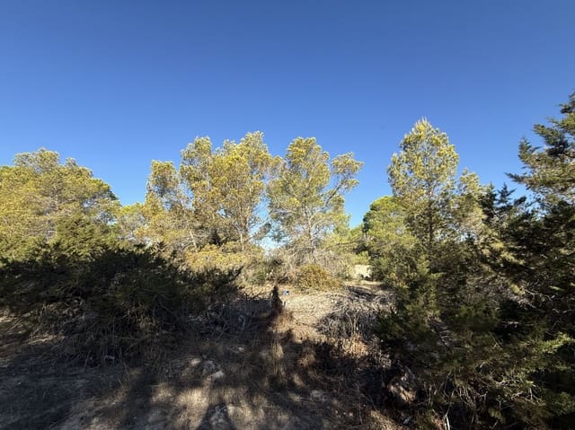 Byggetomt til salgs i San Jose / Sant Josep de Sa Talaia - € 2 400 000 (Ref: 9901593)