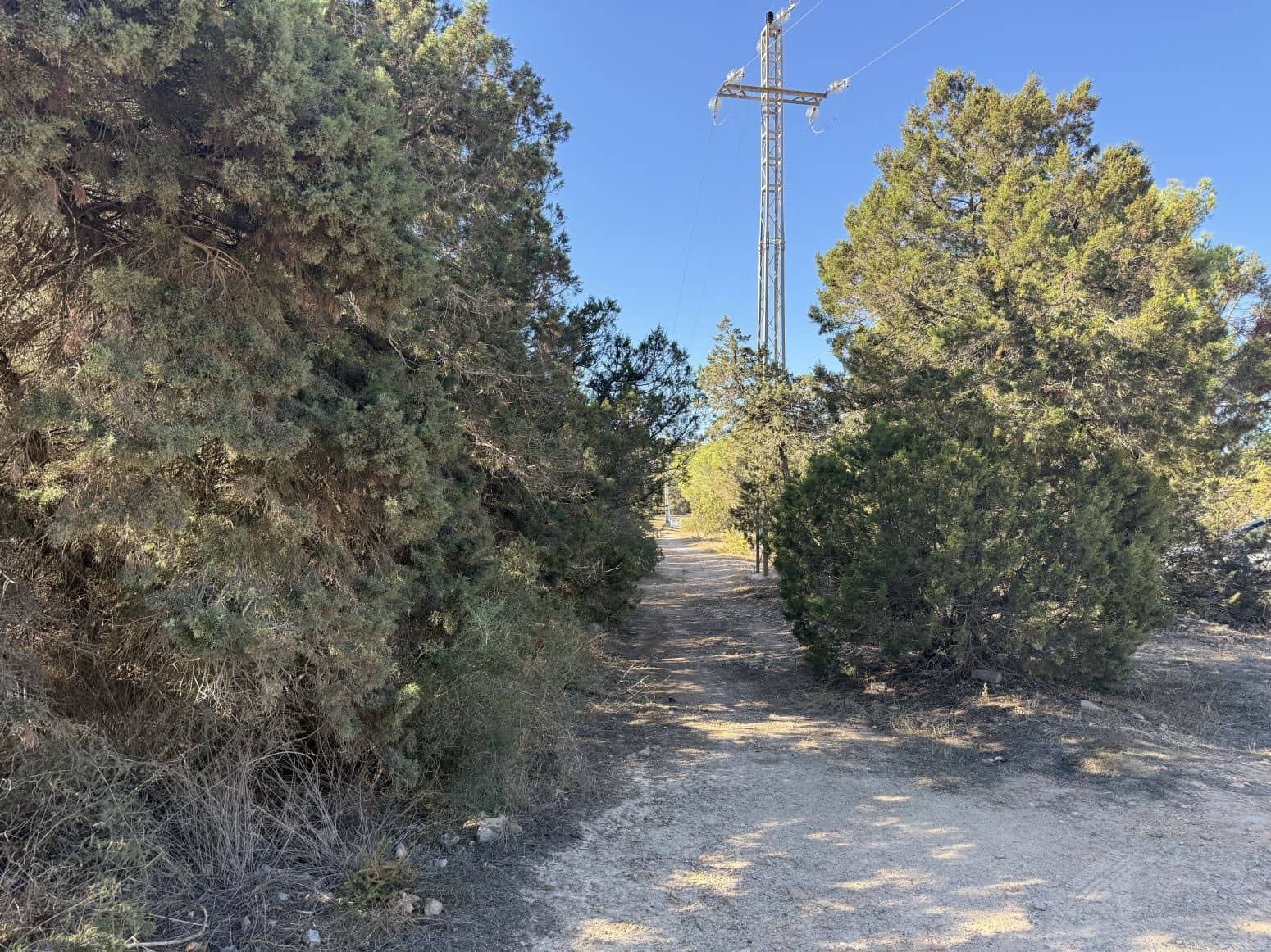 Byggetomt til salgs i San Jose / Sant Josep de Sa Talaia - € 2 400 000 (Ref: 9901593)