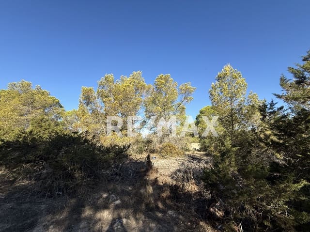 Byggetomt til salgs i San Jose / Sant Josep de Sa Talaia - € 2 400 000 (Ref: 9901593)