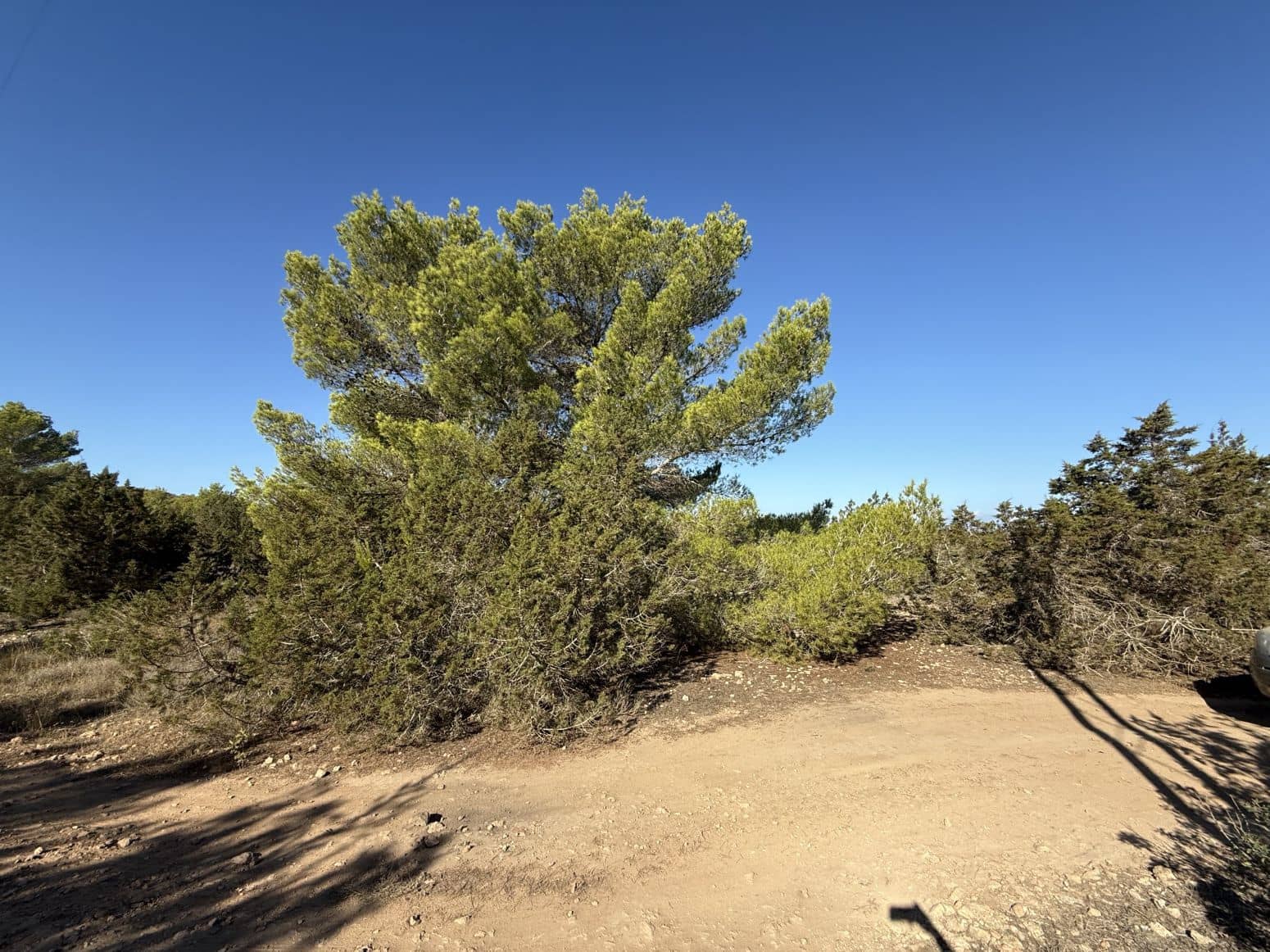 Byggetomt til salgs i San Jose / Sant Josep de Sa Talaia - € 2 400 000 (Ref: 9901593)