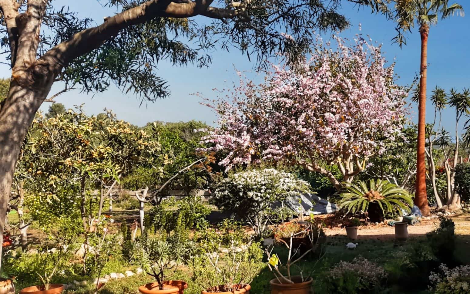 2 makuuhuone Huvila myytävänä paikassa Santa Eulalia / Santa Eularia mukana uima-altaan - 700 000 € (Ref: 9901601)