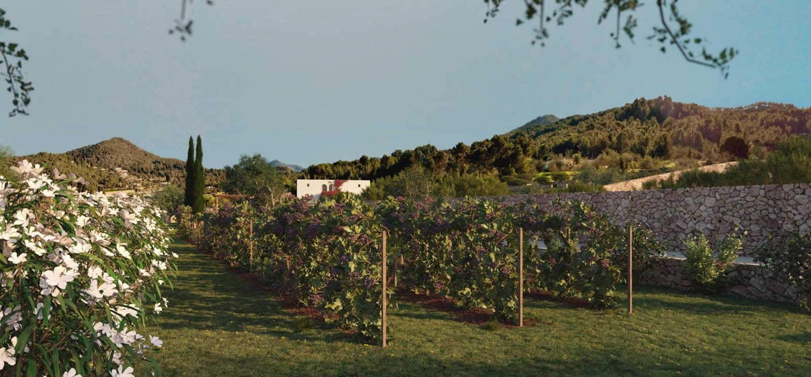 4 soverom Finca/Herregård til salgs i Ibiza by med garasje - € 2 250 000 (Ref: 9903942)
