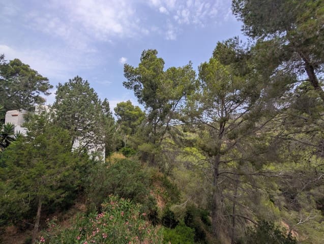 2 slaapkamer Appartement te koop in San Jose / Sant Josep de Sa Talaia - € 431.000 (Ref: 9967832)
