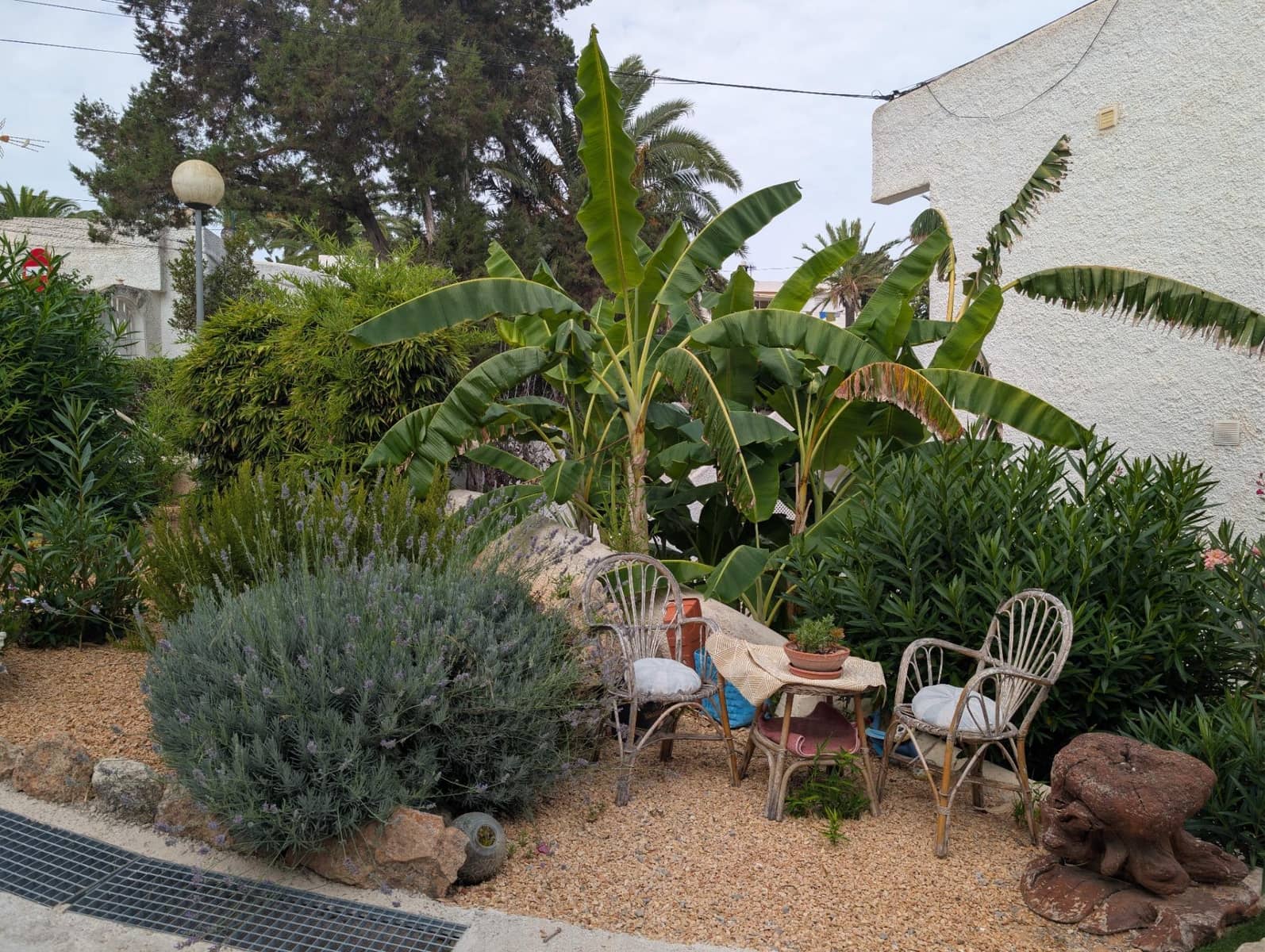 1 Zimmer Apartment zu vermieten in Santa Eulalia / Santa Eularia mit Pool - 1.500 € (Ref: 9984997)