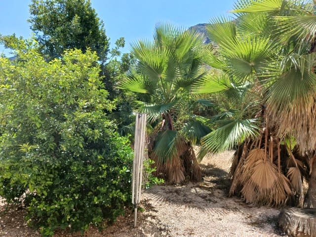 3 bedroom Villa for sale in La Drova with pool garage - € 395,000 (Ref: 10037792)