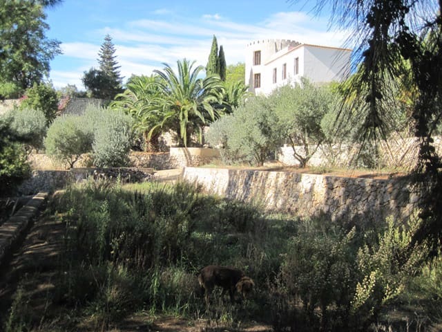 4 soverom Finca/Herregård til salgs i Gandia med svømmebasseng - € 795 000 (Ref: 3875669)