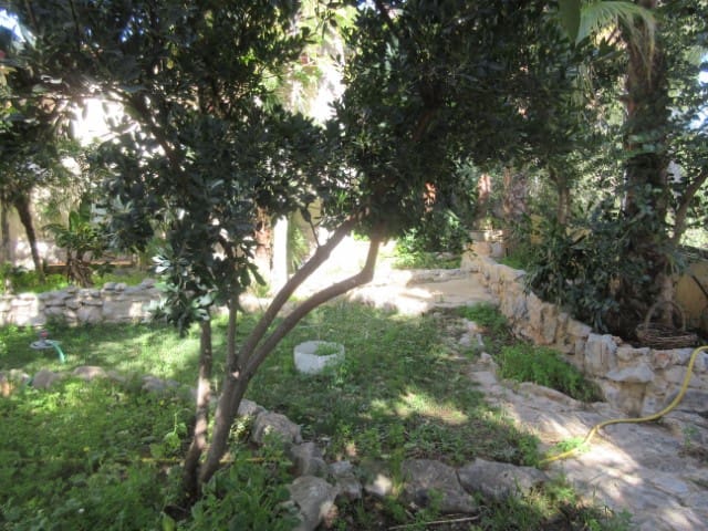 3 soveværelse Villa til salg i Gandia med swimmingpool - € 420.000 (Ref: 5661550)