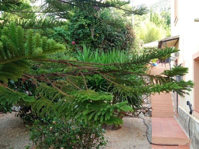 6 soveværelse Villa til salg i La Drova med swimmingpool - € 580.000 (Ref: 6575410)