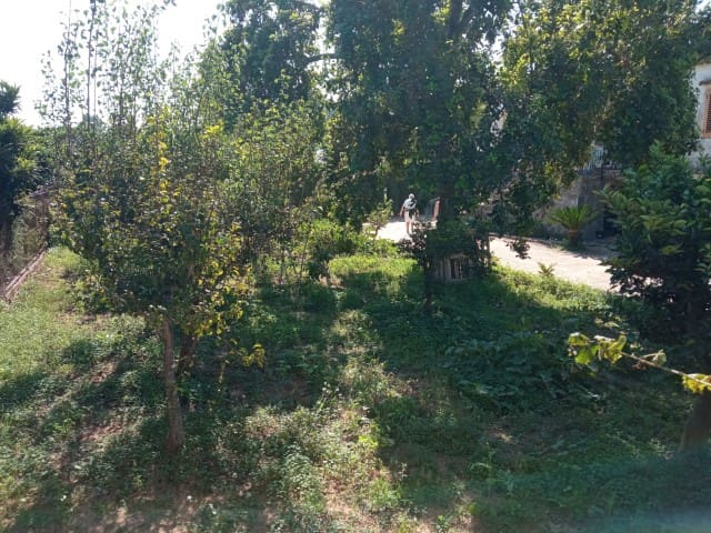 4 soveværelse Villa til salg i Marchuquera, Gandia med swimmingpool - € 350.000 (Ref: 7842537)