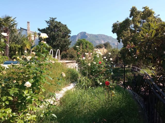 4 soveværelse Villa til salg i Marchuquera, Gandia med swimmingpool - € 350.000 (Ref: 7842537)