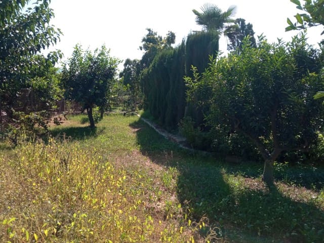 4 soveværelse Villa til salg i Marchuquera, Gandia med swimmingpool - € 350.000 (Ref: 7842537)