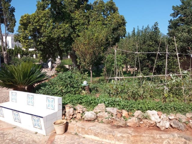 4 soveværelse Villa til salg i Marchuquera med swimmingpool - € 350.000 (Ref: 7842537)