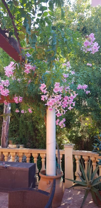 3 soverom Villa til salgs i La Drova med svømmebasseng - € 499 000 (Ref: 9170985)