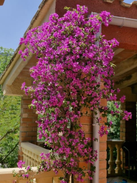 3 soverom Villa til salgs i La Drova med svømmebasseng - € 499 000 (Ref: 9170985)