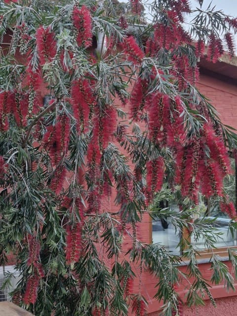 3 soverom Villa til salgs i La Drova med svømmebasseng - € 499 000 (Ref: 9170985)