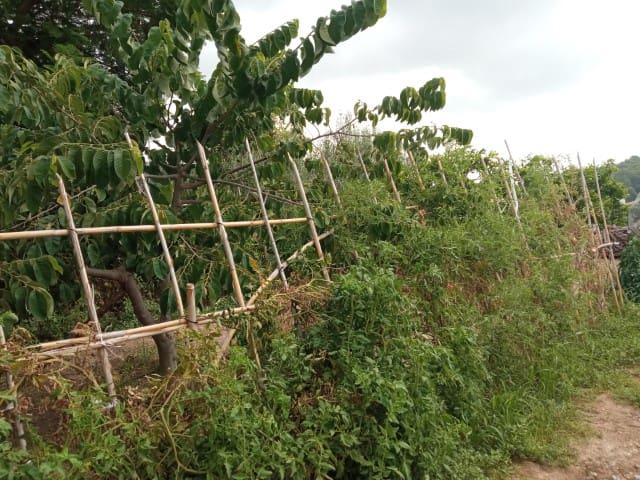 3 soverom Villa til salgs i La Drova med svømmebasseng - € 499 000 (Ref: 9170985)