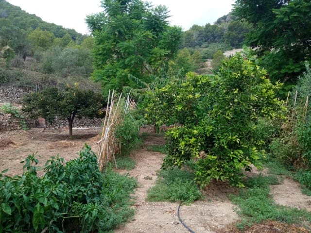 3 soverom Villa til salgs i La Drova med svømmebasseng - € 499 000 (Ref: 9170985)