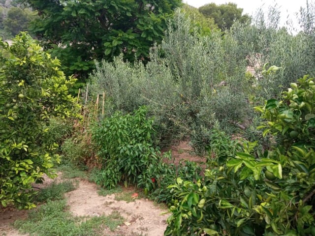 3 soverom Villa til salgs i La Drova med svømmebasseng - € 499 000 (Ref: 9170985)