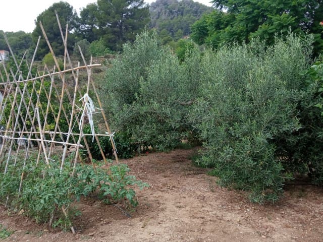 3 bedroom Villa for sale in La Drova, Barx with pool - € 499,000 (Ref: 9170985)