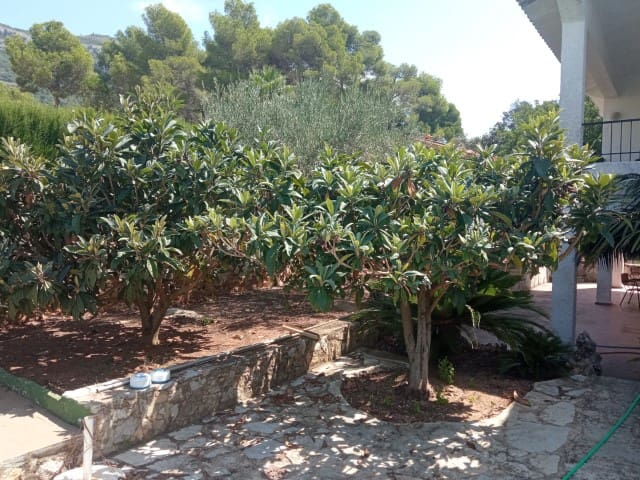 4 soveværelse Villa til salg i La Drova, Barx med swimmingpool - € 325.000 (Ref: 9190792)