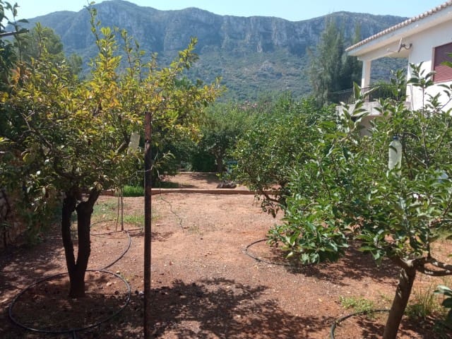 4 soveværelse Villa til salg i La Drova, Barx med swimmingpool - € 325.000 (Ref: 9190792)