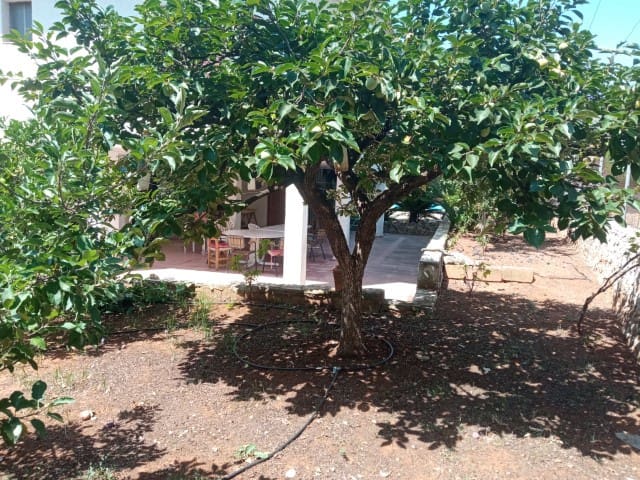 4 soveværelse Villa til salg i La Drova, Barx med swimmingpool - € 325.000 (Ref: 9190792)