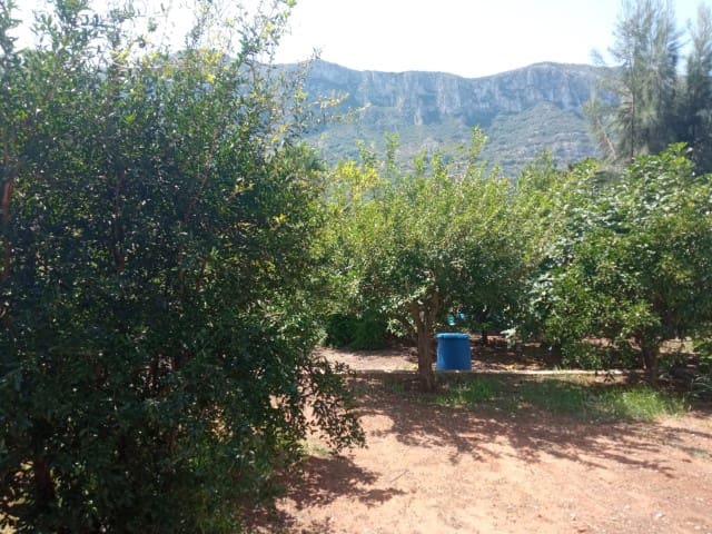 4 soveværelse Villa til salg i La Drova, Barx med swimmingpool - € 325.000 (Ref: 9190792)