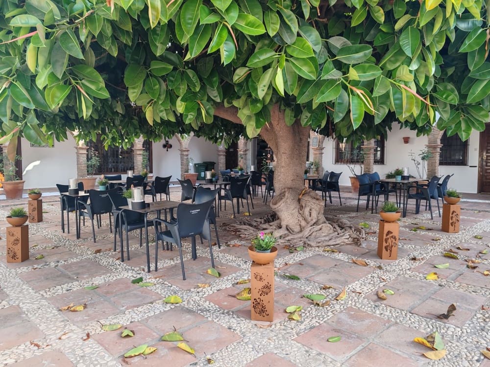 Restaurante/Bar para venda em Fuengirola - 34 950 € (Ref: 9694213)