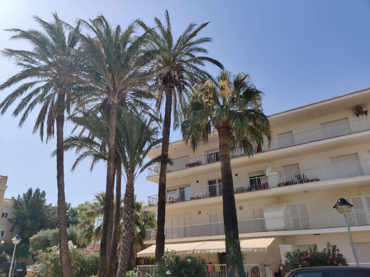 3 sypialnia Apartament do wynajęcia w Denia z garażem - 795 € (Ref: 4062509)