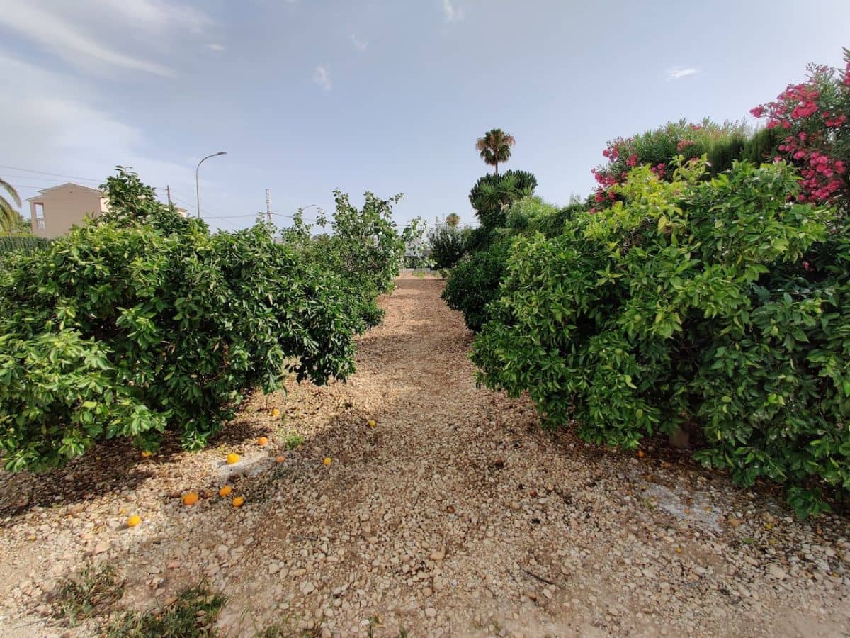 3 camera da letto Casa da affittare in Els Poblets con piscina - 1.300 € (Rif: 5443052)