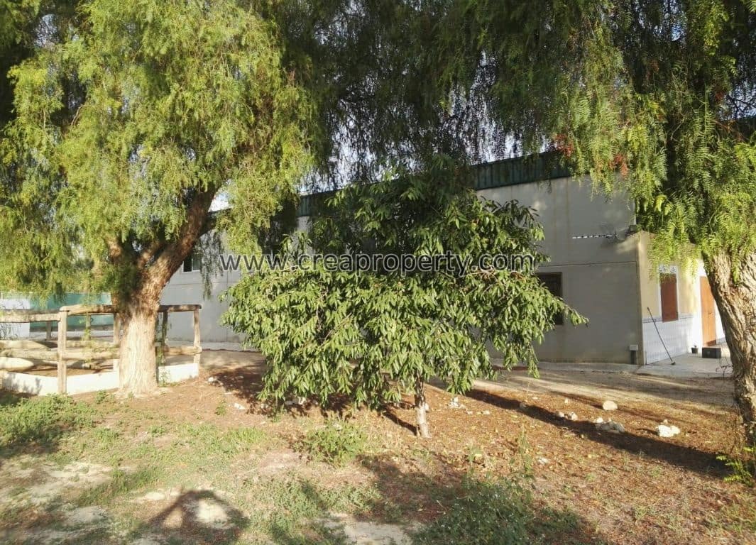 4 soveværelse Villa til salg i El Palmar med swimmingpool - € 685.000 (Ref: 4090100)