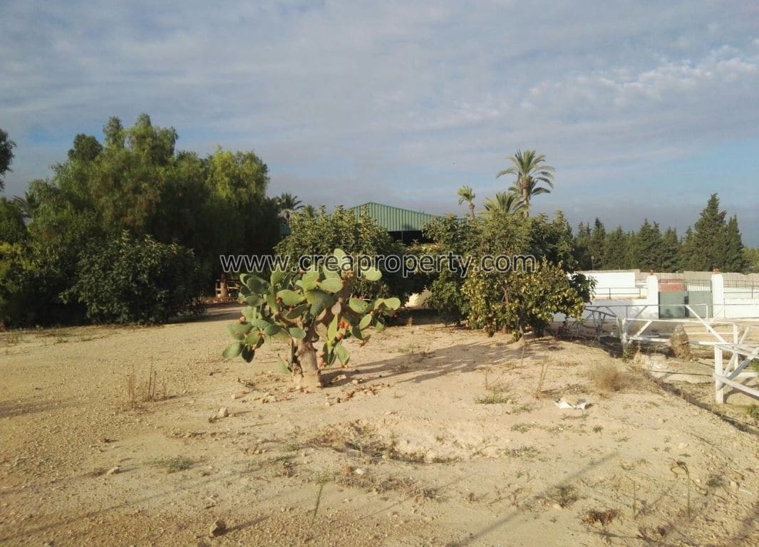 4 soveværelse Villa til salg i El Palmar med swimmingpool - € 685.000 (Ref: 4090100)