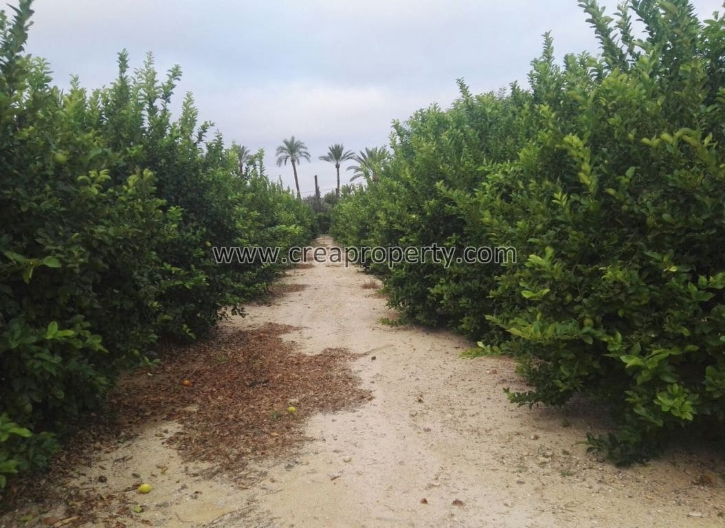 4 soveværelse Villa til salg i El Palmar med swimmingpool - € 685.000 (Ref: 4090100)