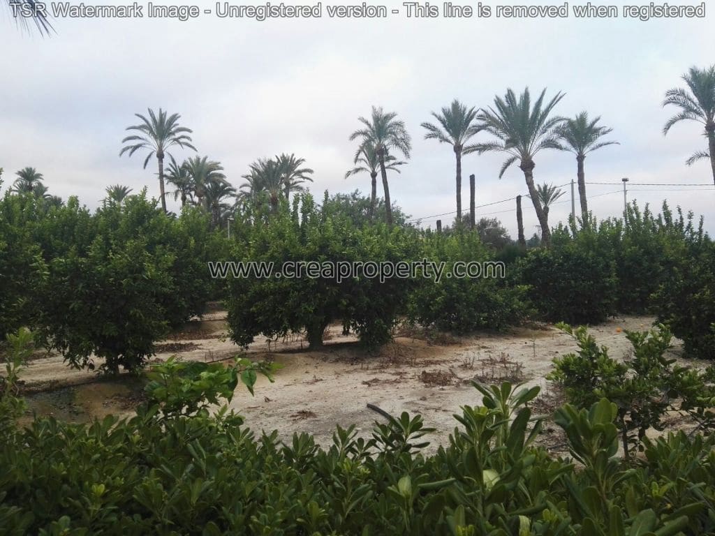 4 soveværelse Villa til salg i El Palmar med swimmingpool - € 685.000 (Ref: 4090100)