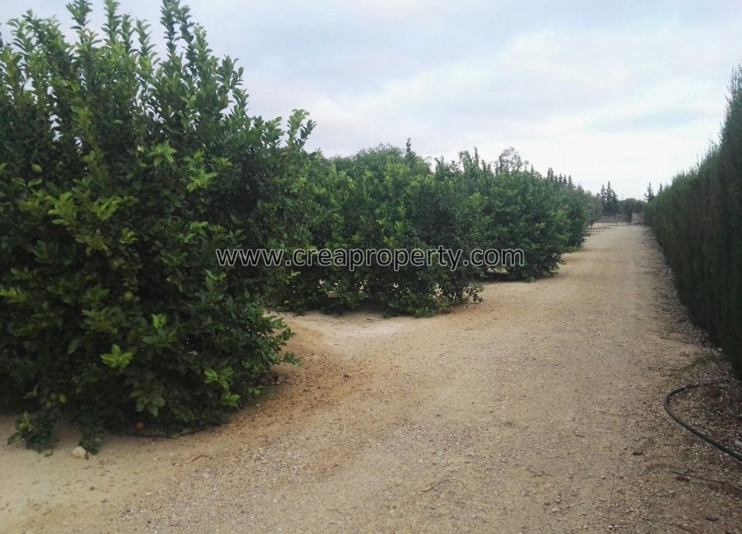 4 soveværelse Villa til salg i El Palmar med swimmingpool - € 685.000 (Ref: 4090100)