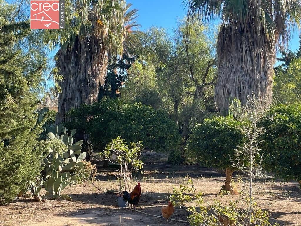 7 soveværelse Finca/Landehus til salg i Los Narejos med swimmingpool - € 519.900 (Ref: 8000781)