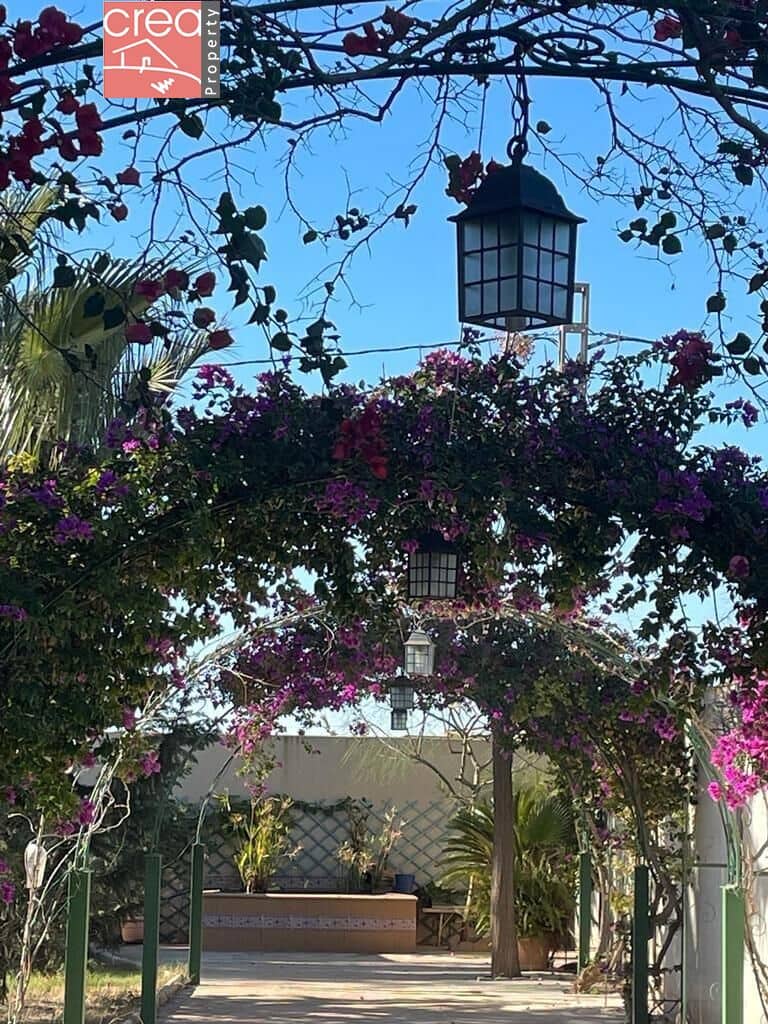 7 soveværelse Finca/Landehus til salg i Los Narejos med swimmingpool - € 519.900 (Ref: 8000781)